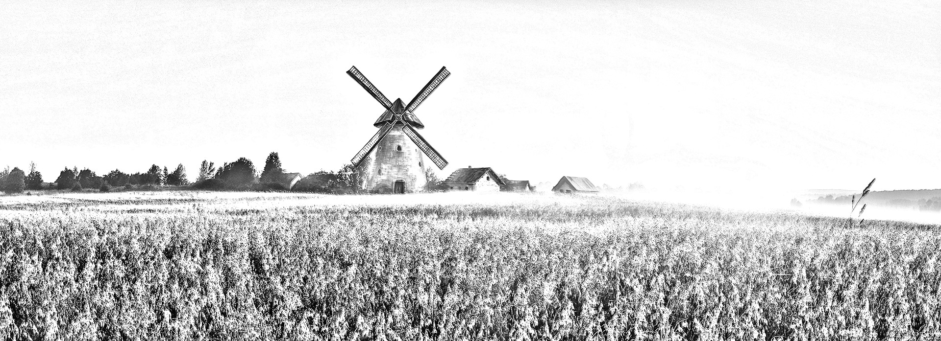 Farm sketch lines