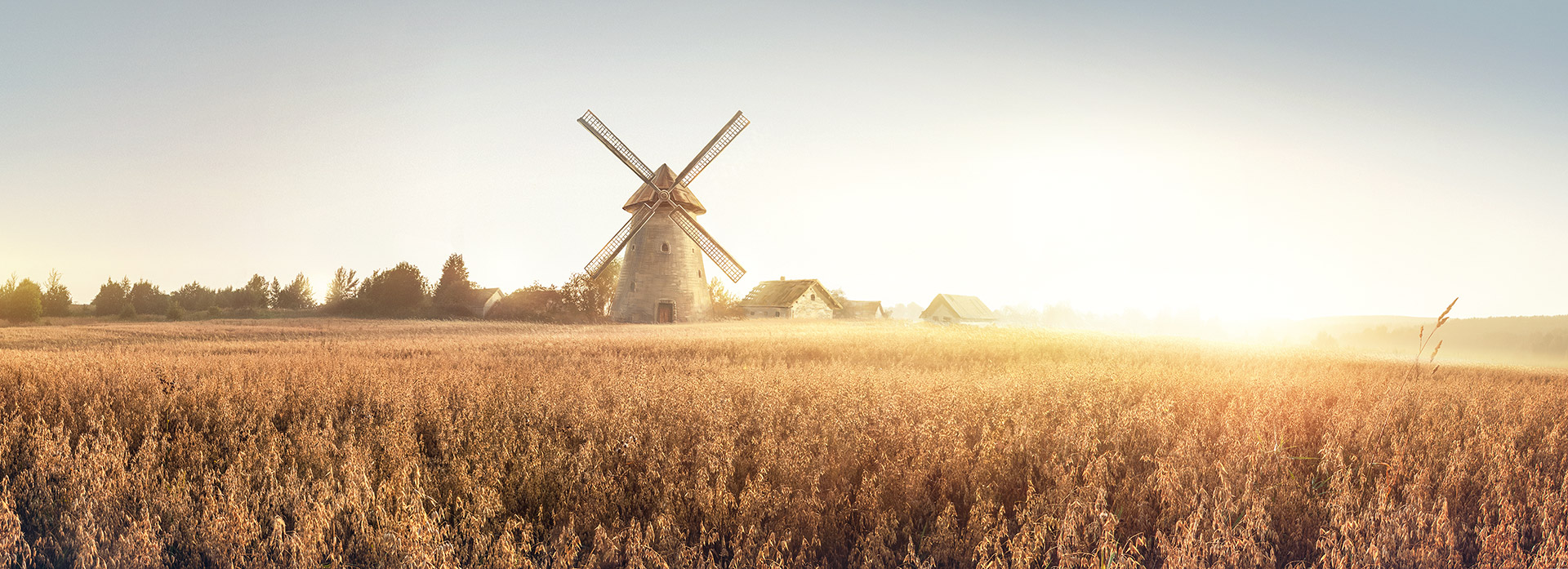 Farm photo
